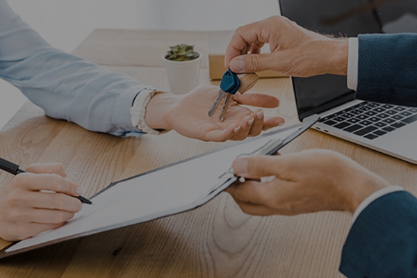 大理房产网站建设-2